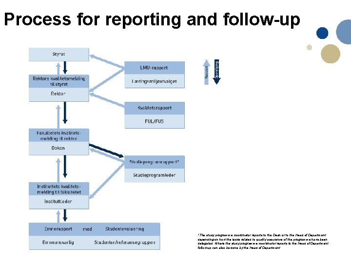 Process for reporting and follow-up *The study programme coordinator reports to the Dean or