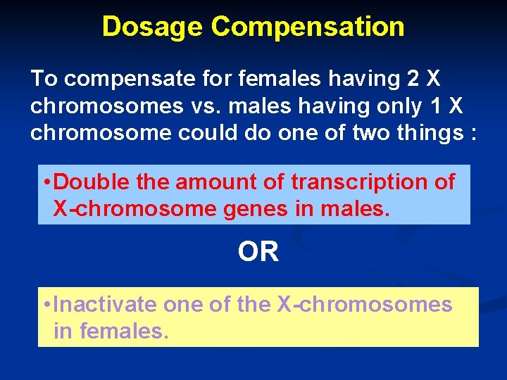 Dosage Compensation To compensate for females having 2 X chromosomes vs. males having only