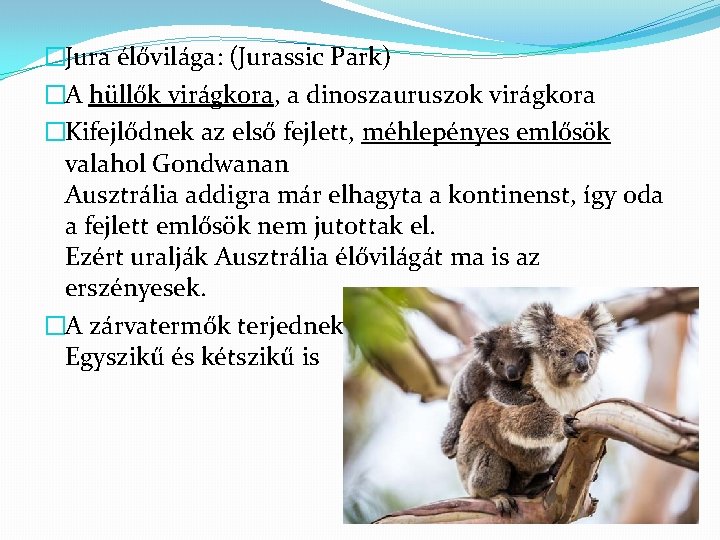 �Jura élővilága: (Jurassic Park) �A hüllők virágkora, a dinoszauruszok virágkora �Kifejlődnek az első fejlett,