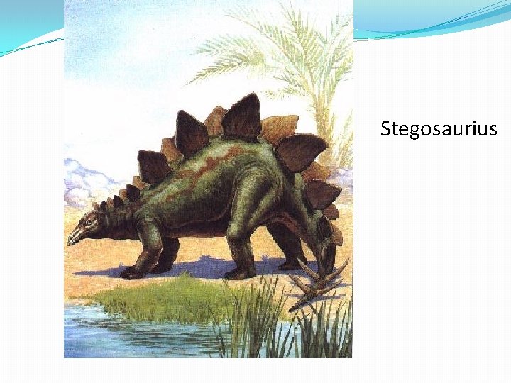 Stegosaurius 