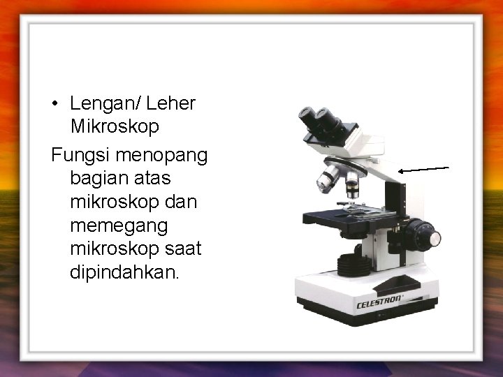  • Lengan/ Leher Mikroskop Fungsi menopang bagian atas mikroskop dan memegang mikroskop saat