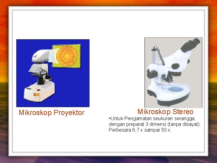 Mikroskop Proyektor Mikroskop Stereo • Untuk Pengamatan seukuran serangga, dengan preparat 3 dimensi (tanpa