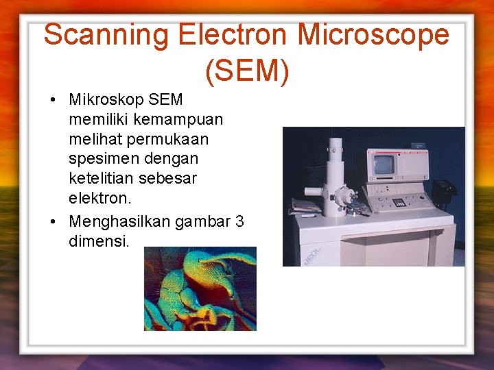 Scanning Electron Microscope (SEM) • Mikroskop SEM memiliki kemampuan melihat permukaan spesimen dengan ketelitian