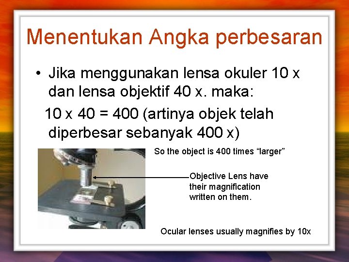 Menentukan Angka perbesaran • Jika menggunakan lensa okuler 10 x dan lensa objektif 40