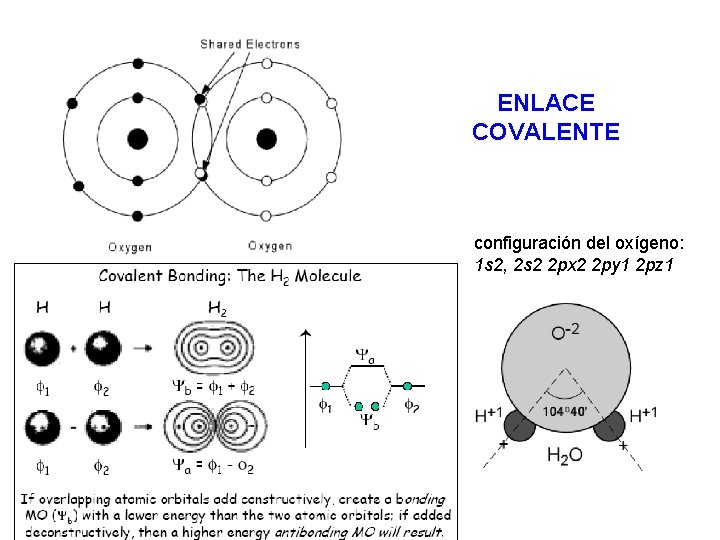 ENLACE COVALENTE configuración del oxígeno: 1 s 2, 2 s 2 2 px 2
