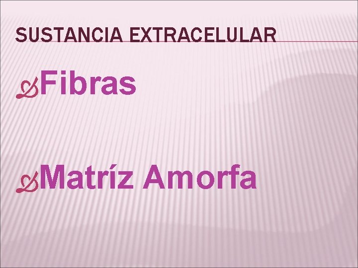 SUSTANCIA EXTRACELULAR Fibras Matríz Amorfa 