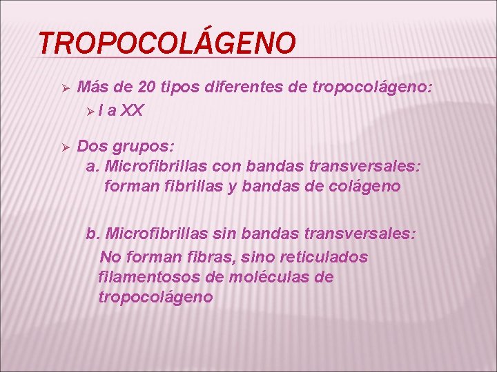 TROPOCOLÁGENO Ø Más de 20 tipos diferentes de tropocolágeno: Ø I a XX Ø