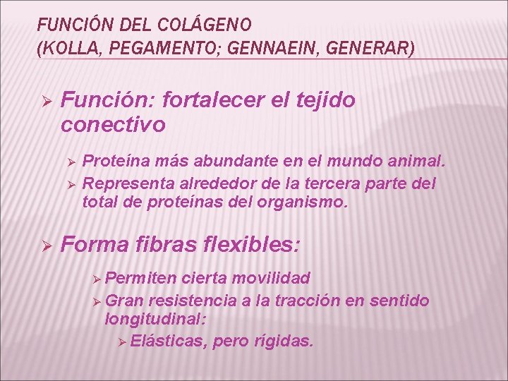 FUNCIÓN DEL COLÁGENO (KOLLA, PEGAMENTO; GENNAEIN, GENERAR) Ø Función: fortalecer el tejido conectivo Ø