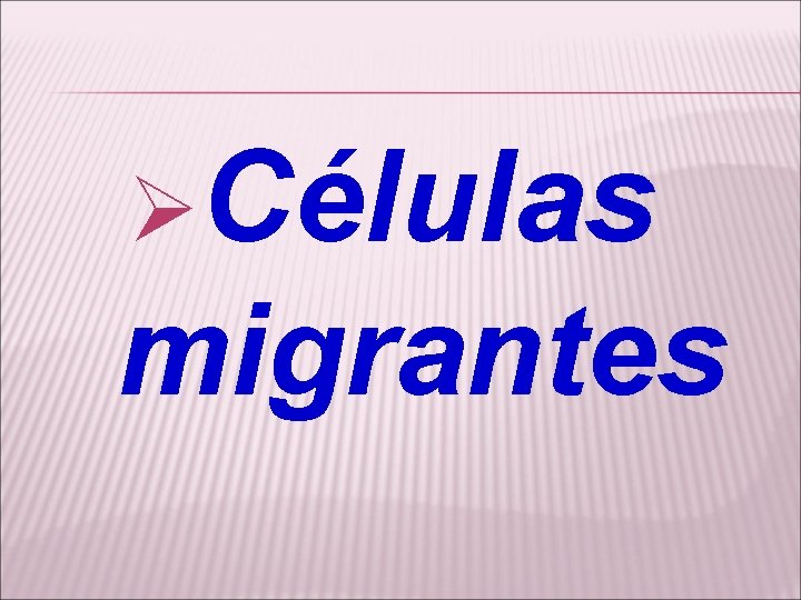 ØCélulas migrantes 