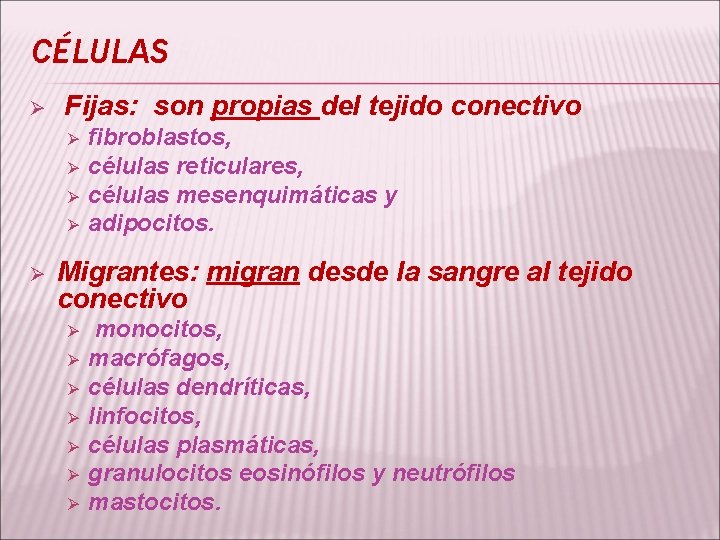 CÉLULAS Ø Fijas: son propias del tejido conectivo Ø Ø Ø fibroblastos, células reticulares,