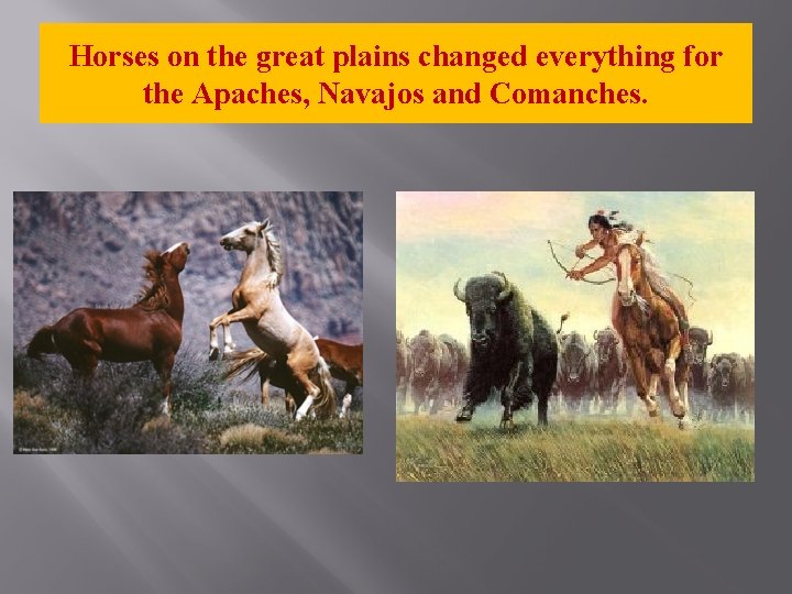 Horses on the great plains changed everything for the Apaches, Navajos and Comanches. 