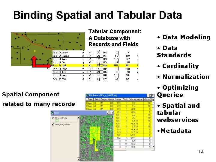 Binding Spatial and Tabular Data Component: Spatial Component: Tabular A Database with Polygons, Lines,