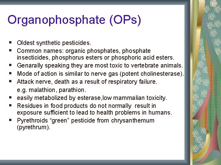 Organophosphate (OPs) § Oldest synthetic pesticides. § Common names: organic phosphates, phosphate § § Organophosphate (OPs) § Oldest synthetic pesticides. § Common names: organic phosphates, phosphate § §