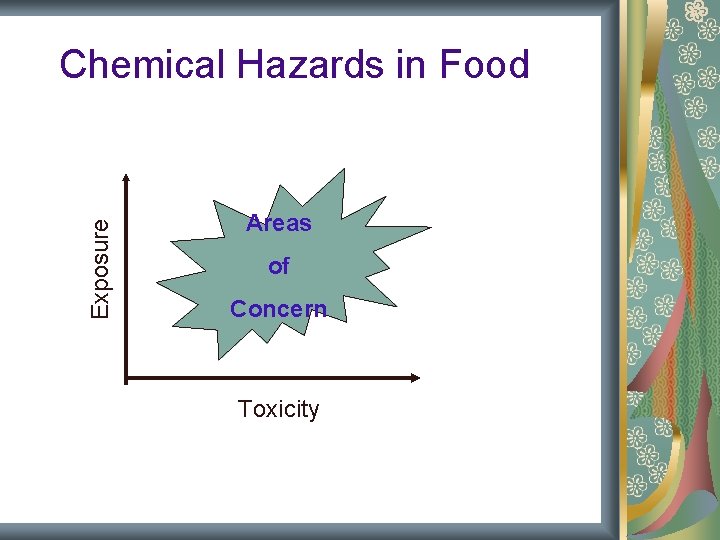 Exposure Chemical Hazards in Food Areas of Concern Toxicity Exposure Chemical Hazards in Food Areas of Concern Toxicity