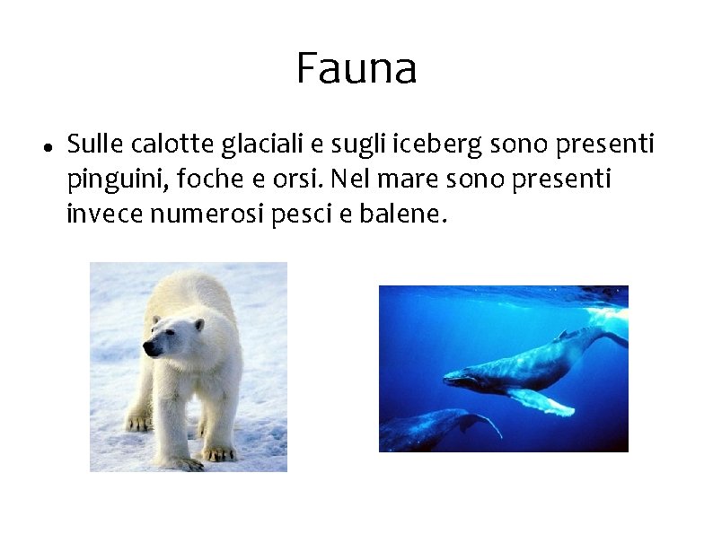 Fauna Sulle calotte glaciali e sugli iceberg sono presenti pinguini, foche e orsi. Nel