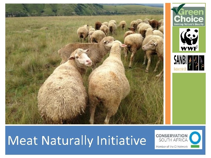 Meat Naturally Initiative 