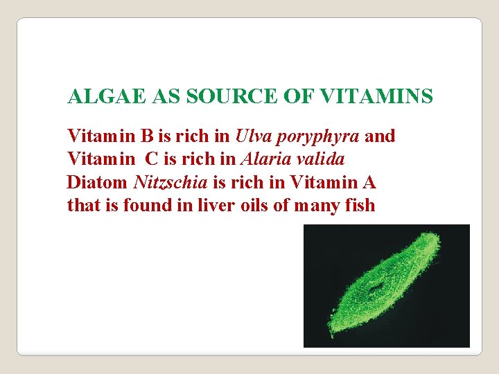 ALGAE AS SOURCE OF VITAMINS Vitamin B is rich in Ulva poryphyra and Vitamin