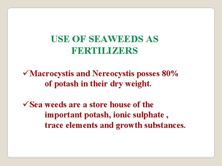 USE OF SEAWEEDS AS FERTILIZERS üMacrocystis and Nereocystis posses 80% of potash in their