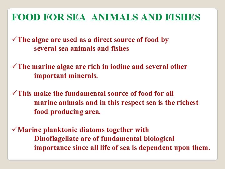 FOOD FOR SEA ANIMALS AND FISHES üThe algae are used as a direct source