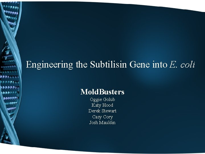 Engineering the Subtilisin Gene into E. coli Mold. Busters Oggie Golub Katy Hood Derek