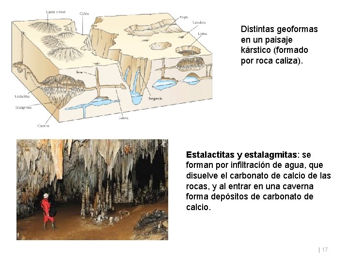 Distintas geoformas en un paisaje kárstico (formado por roca caliza). Estalactitas y estalagmitas: se