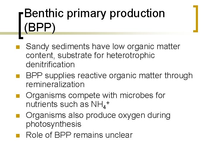 Benthic primary production (BPP) n n n Sandy sediments have low organic matter content,