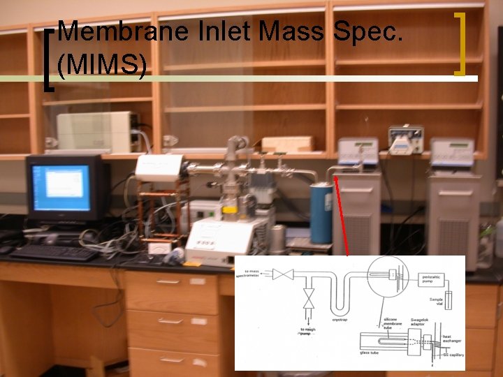 Membrane Inlet Mass Spec. (MIMS) 