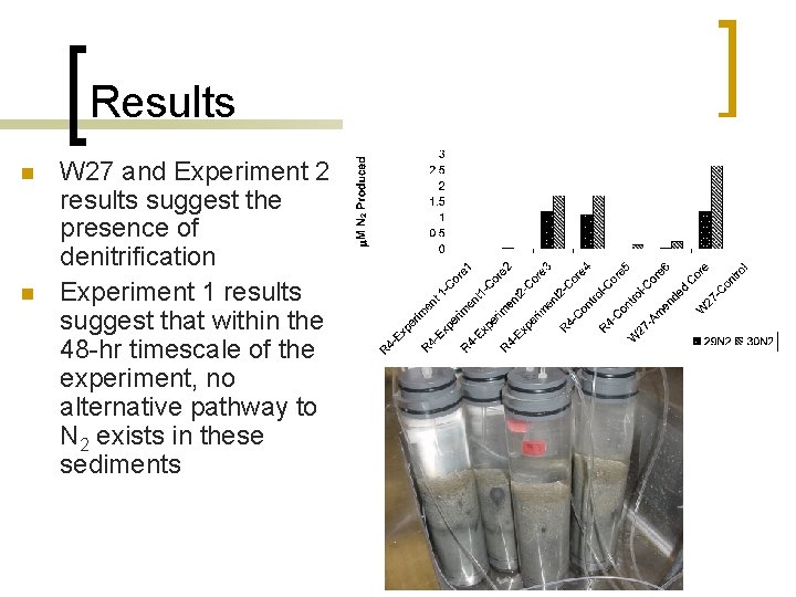 Results n n W 27 and Experiment 2 results suggest the presence of denitrification