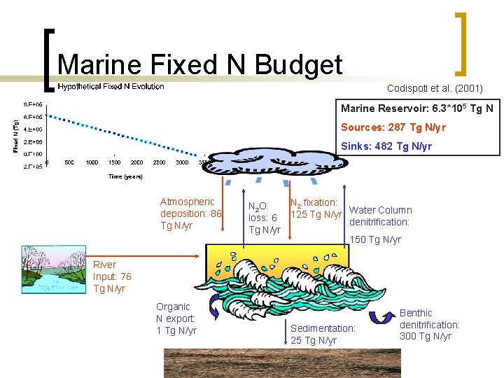 Marine Fixed N Budget Codispoti et al. (2001) Marine Reservoir: 6. 3*105 Tg N