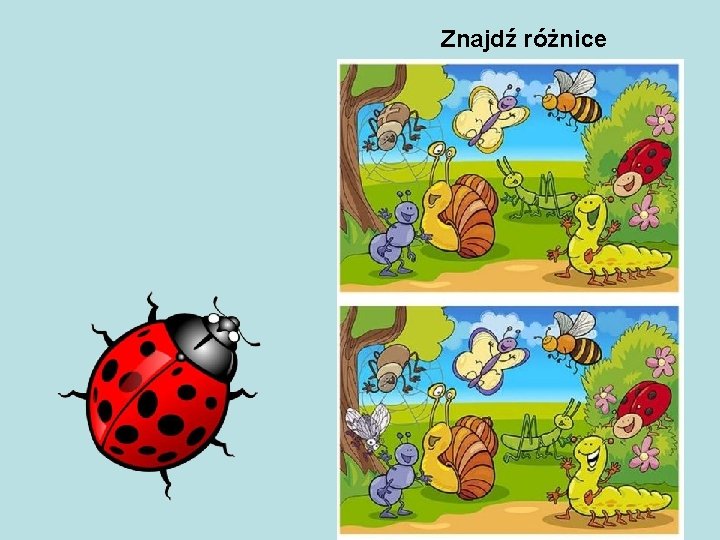 Znajdź różnice 