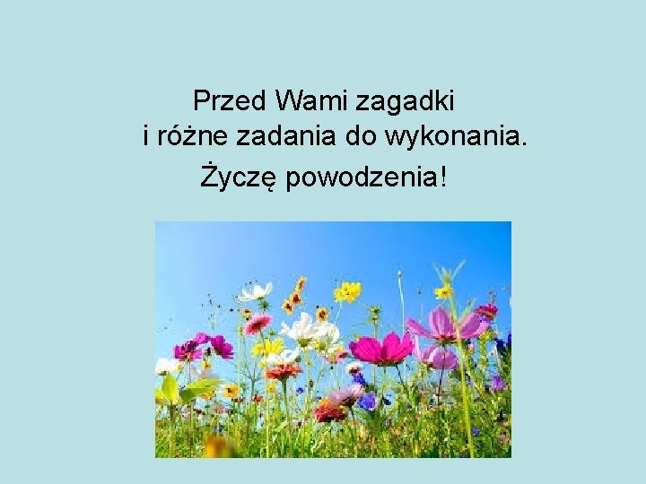 Przed Wami zagadki i różne zadania do wykonania. Życzę powodzenia! 