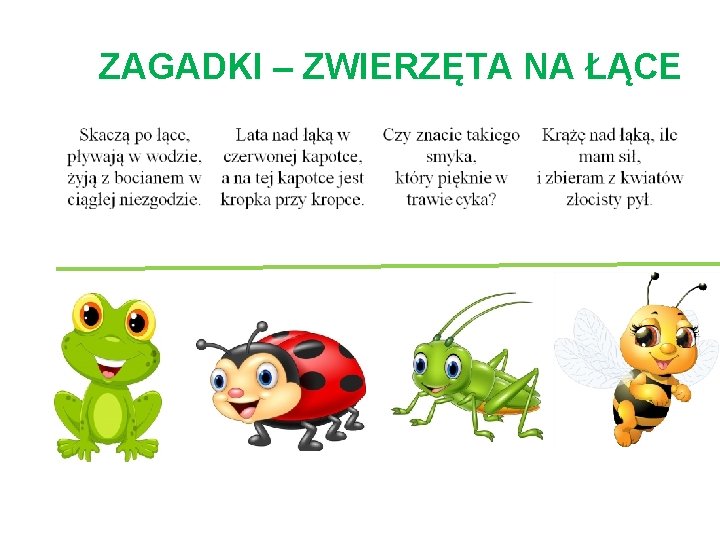 ZAGADKI – ZWIERZĘTA NA ŁĄCE 