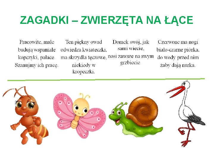 ZAGADKI – ZWIERZĘTA NA ŁĄCE 
