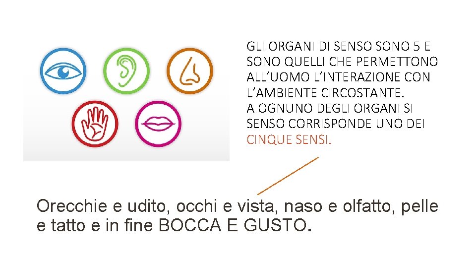 GLI ORGANI DI SENSO SONO 5 E SONO QUELLI CHE PERMETTONO ALL’UOMO L’INTERAZIONE CON