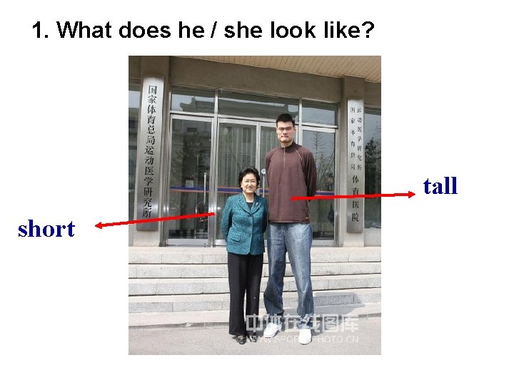 1. What does he / she look like? tall short 