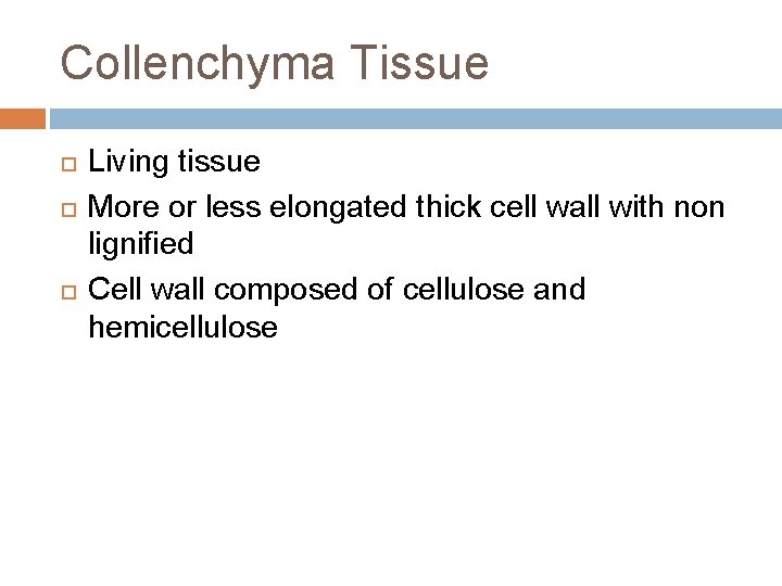 Collenchyma Tissue Living tissue More or less elongated thick cell wall with non lignified Collenchyma Tissue Living tissue More or less elongated thick cell wall with non lignified