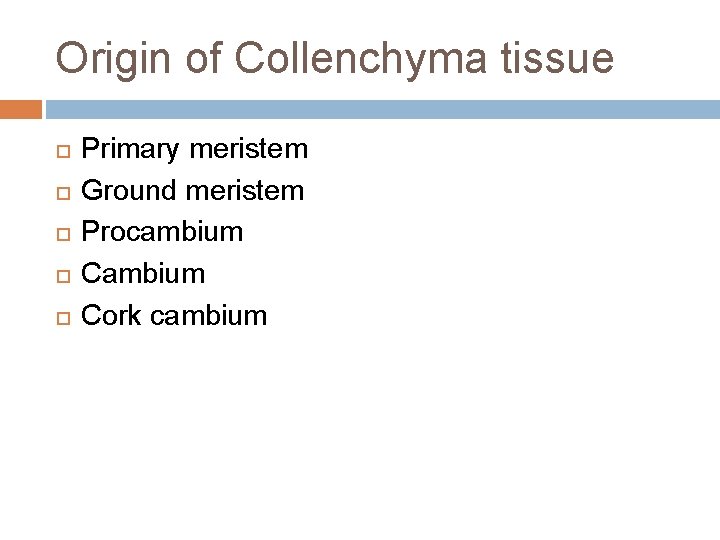 Origin of Collenchyma tissue Primary meristem Ground meristem Procambium Cork cambium Origin of Collenchyma tissue Primary meristem Ground meristem Procambium Cork cambium