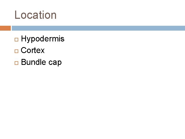 Location Hypodermis Cortex Bundle cap Location Hypodermis Cortex Bundle cap