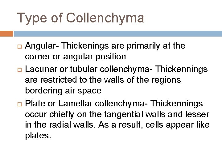 Type of Collenchyma Angular- Thickenings are primarily at the corner or angular position Lacunar Type of Collenchyma Angular- Thickenings are primarily at the corner or angular position Lacunar