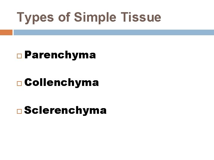 Types of Simple Tissue Parenchyma Collenchyma Sclerenchyma Types of Simple Tissue Parenchyma Collenchyma Sclerenchyma