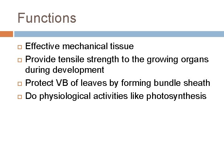 Functions Effective mechanical tissue Provide tensile strength to the growing organs during development Protect Functions Effective mechanical tissue Provide tensile strength to the growing organs during development Protect