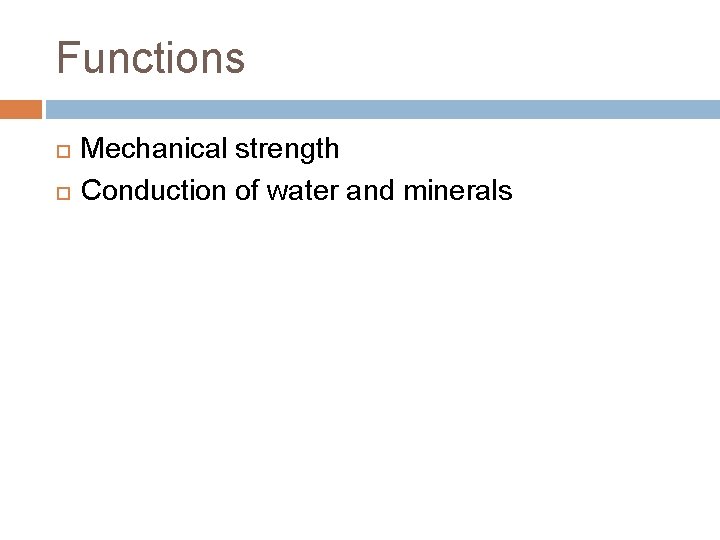 Functions Mechanical strength Conduction of water and minerals Functions Mechanical strength Conduction of water and minerals