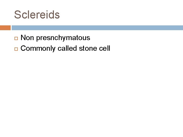 Sclereids Non presnchymatous Commonly called stone cell Sclereids Non presnchymatous Commonly called stone cell