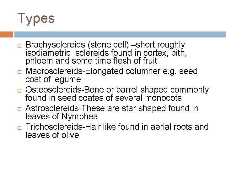 Types Brachysclereids (stone cell) –short roughly isodiametric sclereids found in cortex, pith, phloem and Types Brachysclereids (stone cell) –short roughly isodiametric sclereids found in cortex, pith, phloem and