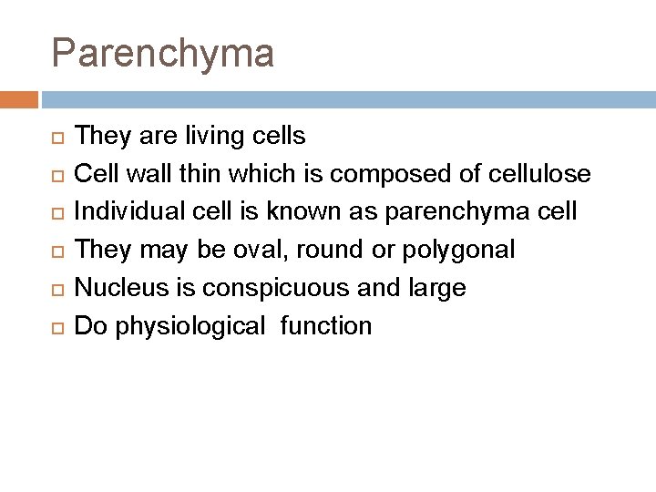 Parenchyma They are living cells Cell wall thin which is composed of cellulose Individual Parenchyma They are living cells Cell wall thin which is composed of cellulose Individual