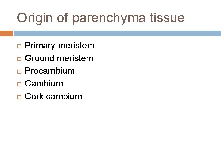 Origin of parenchyma tissue Primary meristem Ground meristem Procambium Cork cambium Origin of parenchyma tissue Primary meristem Ground meristem Procambium Cork cambium