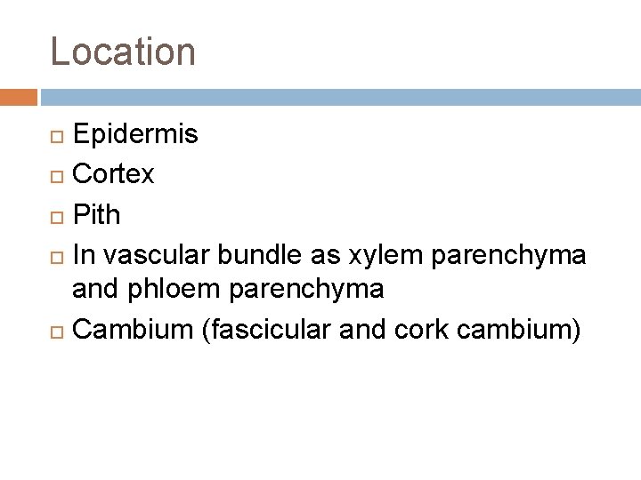 Location Epidermis Cortex Pith In vascular bundle as xylem parenchyma and phloem parenchyma Cambium Location Epidermis Cortex Pith In vascular bundle as xylem parenchyma and phloem parenchyma Cambium