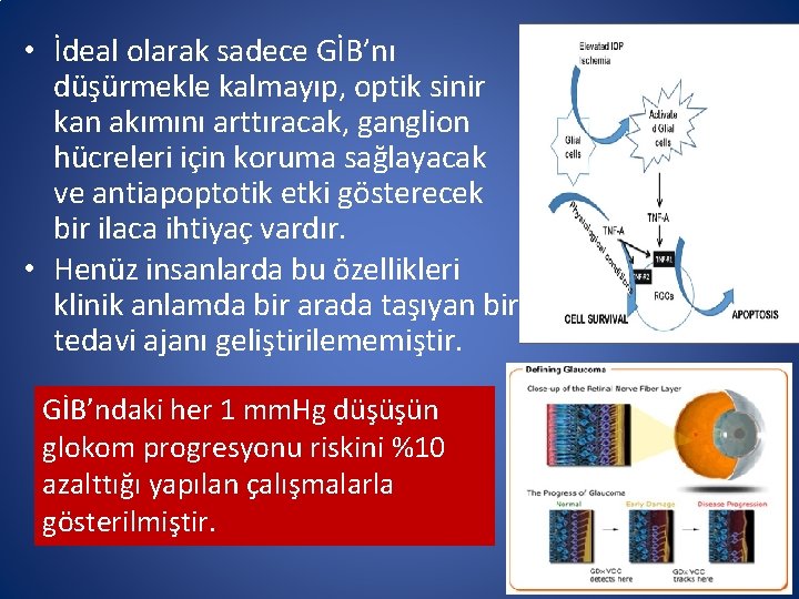  • İdeal olarak sadece GİB’nı düşürmekle kalmayıp, optik sinir kan akımını arttıracak, ganglion