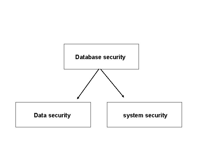 Database security Data security system security 