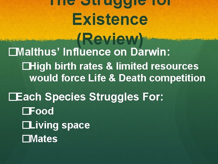 The Struggle for Existence (Review) �Malthus’ Influence on Darwin: �High birth rates & limited